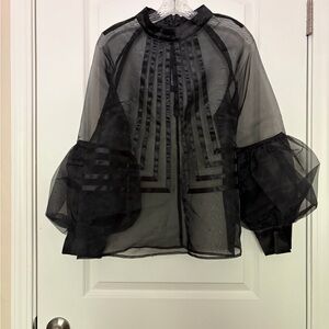 Sheer Black Organza Statement Blouse